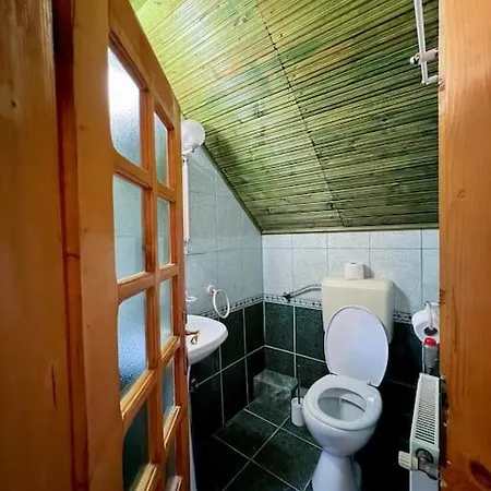 Holiday home Cabanita Intorsura Buzaului